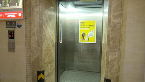 小区电梯用了5年修理费13万 引起业主质疑,物业这样回应